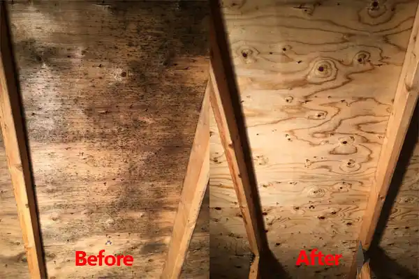 water damage restoration service Bellefonte